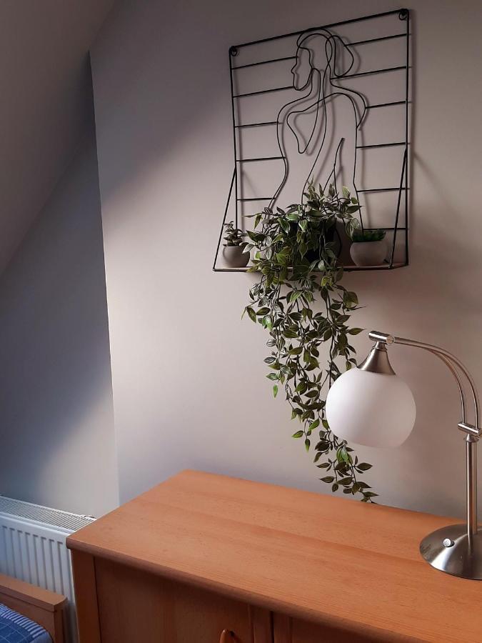 Nowy Dwór GdańskiApartament Gdansk'Aアパートメント エクステリア 写真